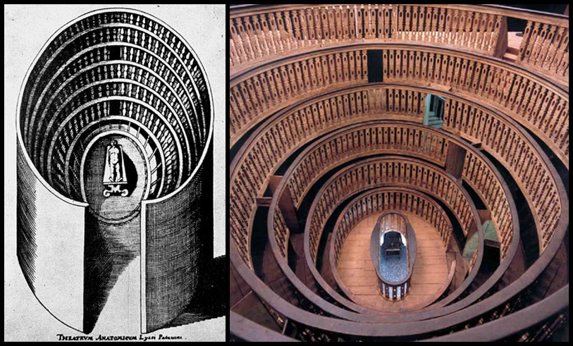 Teartro anatomico-horz