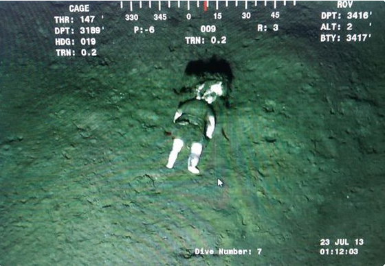 Lalka Znaleziono 85 mil morskich, 3200 stóp pod wodą.